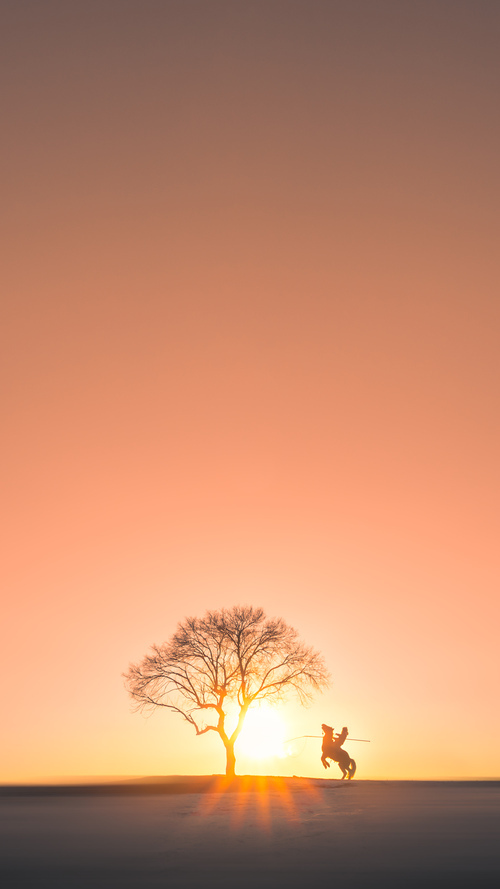 华体会官网-魔术加时鏖战力克森林狼，戈贝尔硬仗之王虽败犹荣