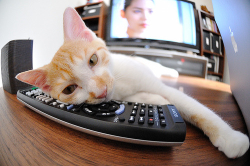 华体会官网-爆发之夜！西亚卡姆率领猛龙加时擒奇才